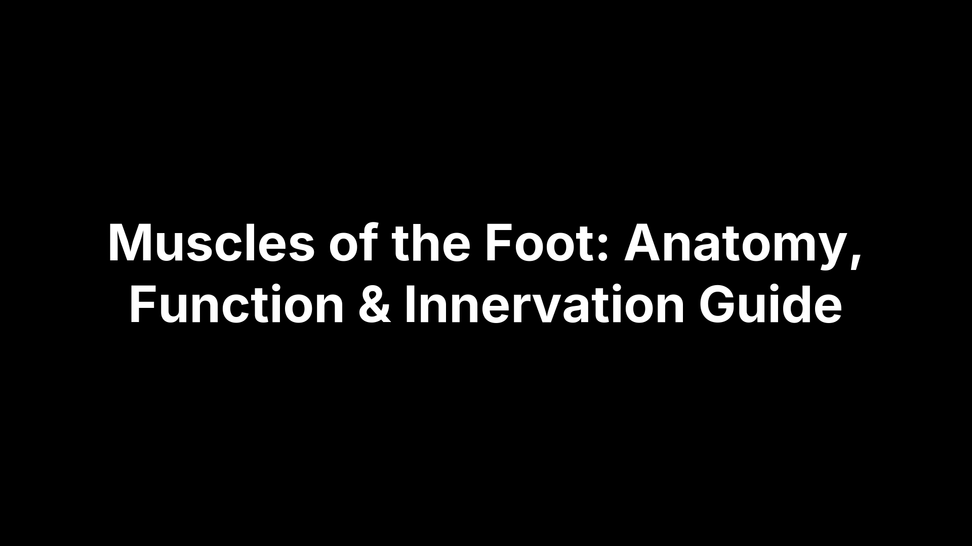 Muscles of the Foot: Anatomy, Function & Innervation Guide