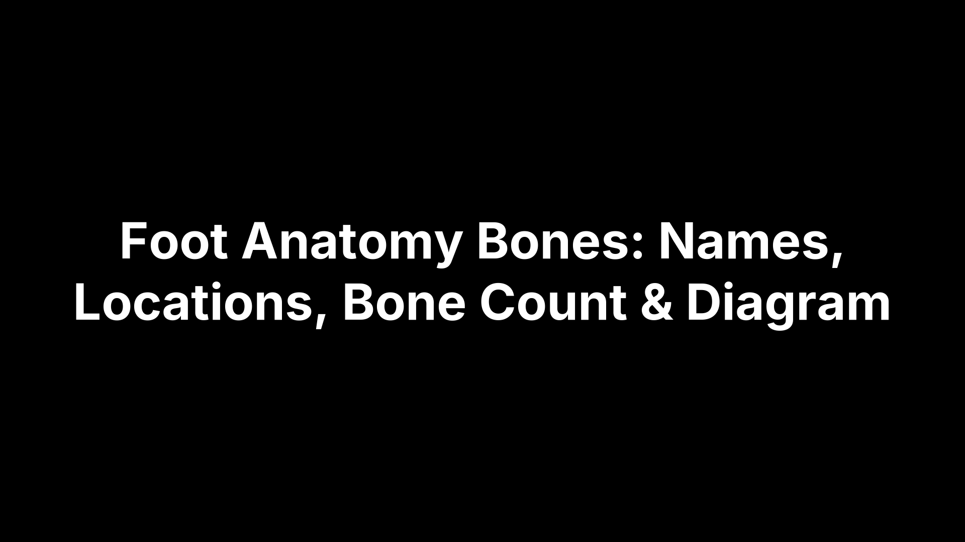 Foot Anatomy Bones: Names, Locations, Bone Count & Diagram