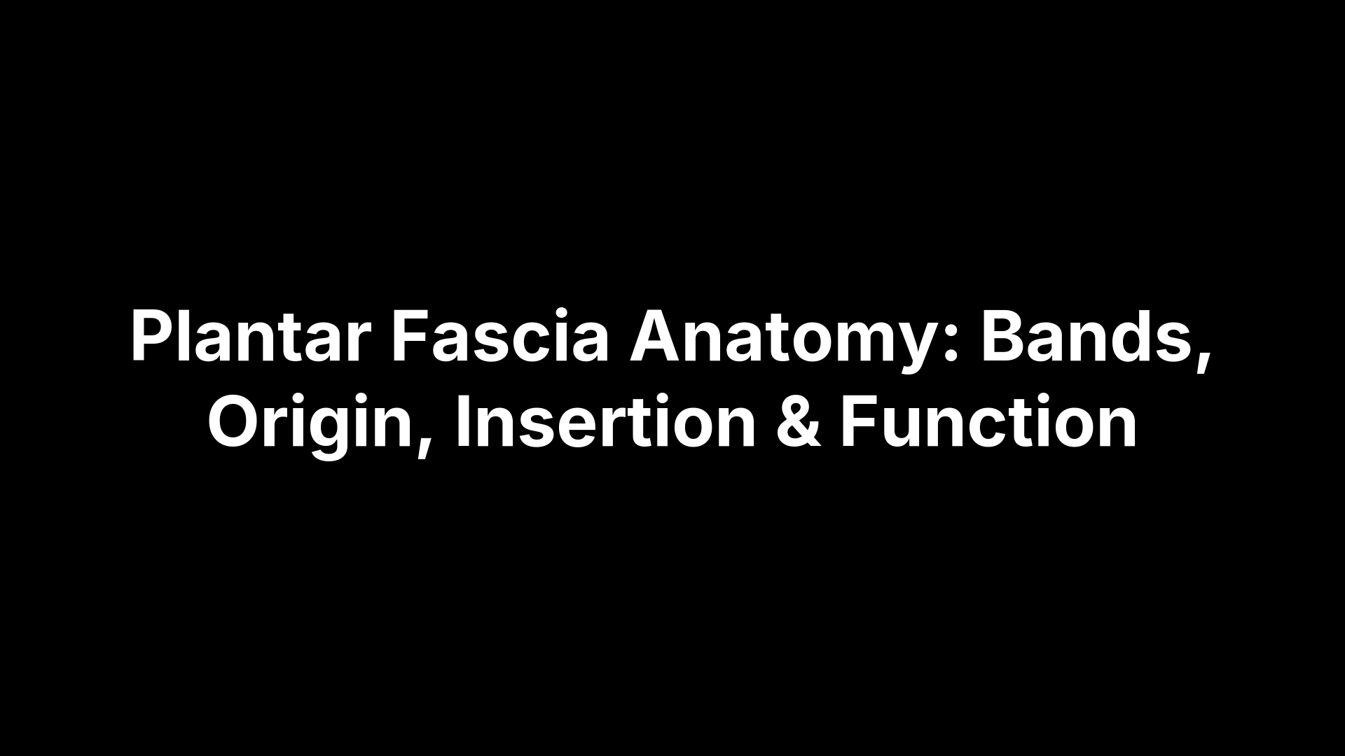 Plantar Fascia Anatomy: Bands, Origin, Insertion & Function