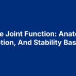 Ankle Joint Function: Anatomy, Motion, And Stability Basics